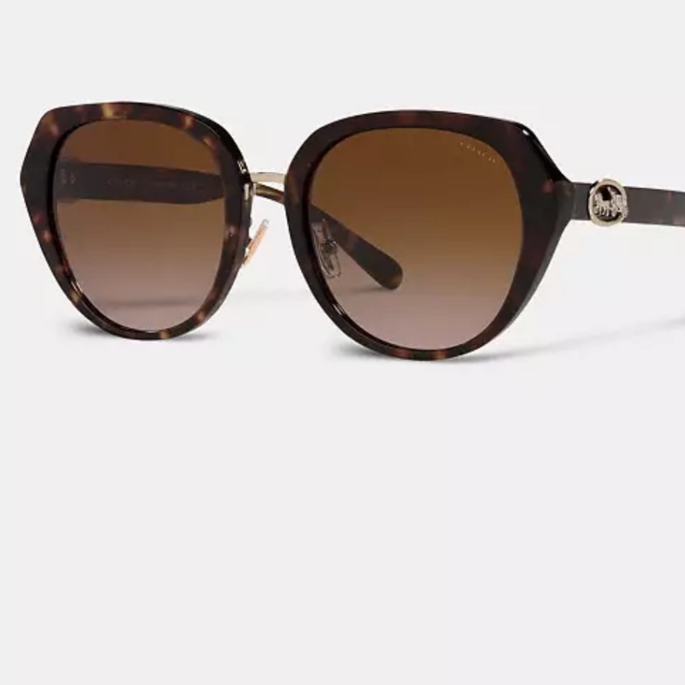 Never Worn Horse & Carriage Signature Oversized Coach Sunglasses